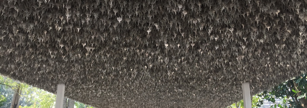 Nemo fugiat eius veritatis quia sed voluptas.